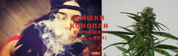 гашик Балахна