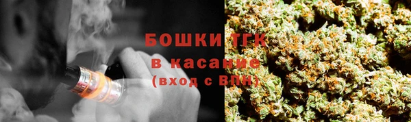 гашик Балахна