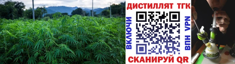 цена наркотик  Нязепетровск  mega ссылка  ТГК Wax 