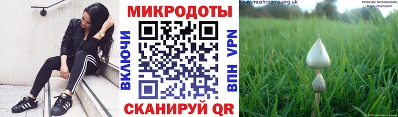 Псилоцибиновые грибы GOLDEN TEACHER  сколько стоит  Нязепетровск 